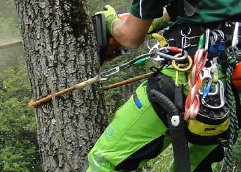 Equipment for Tree Care & Rope Technology