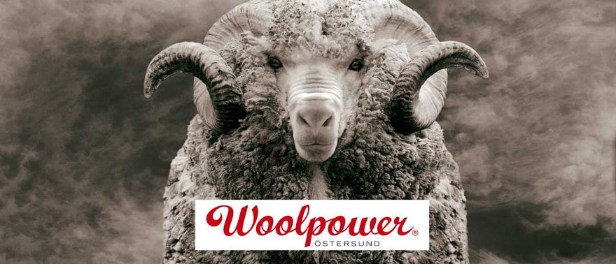 A sheep looks directly into the camera. Below you can see the woolpower logo.