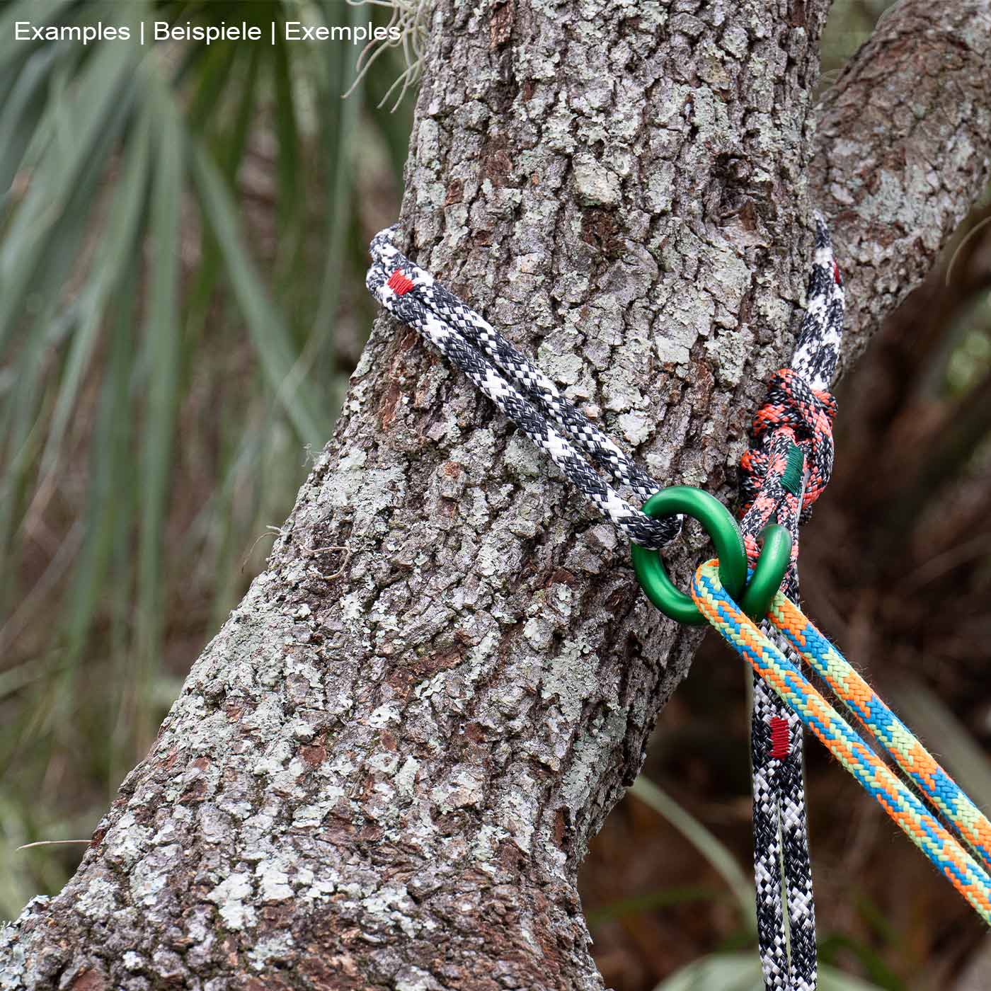 ringLOOP 26, an orange-black rope with a green metal ring, placed around a tree trunk, other ropes are guided through the ring