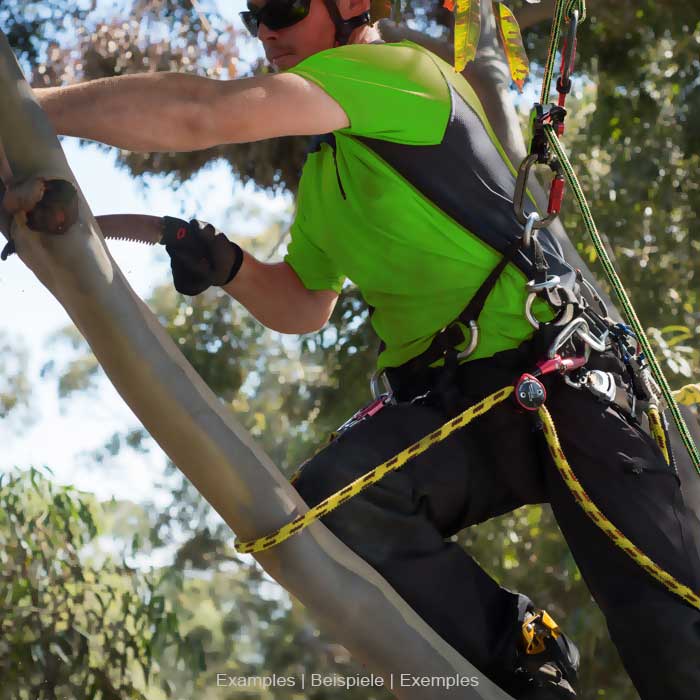Person in green shirt and black pants climbing in a tree while wearing the Positioner 2 from Climb Art
