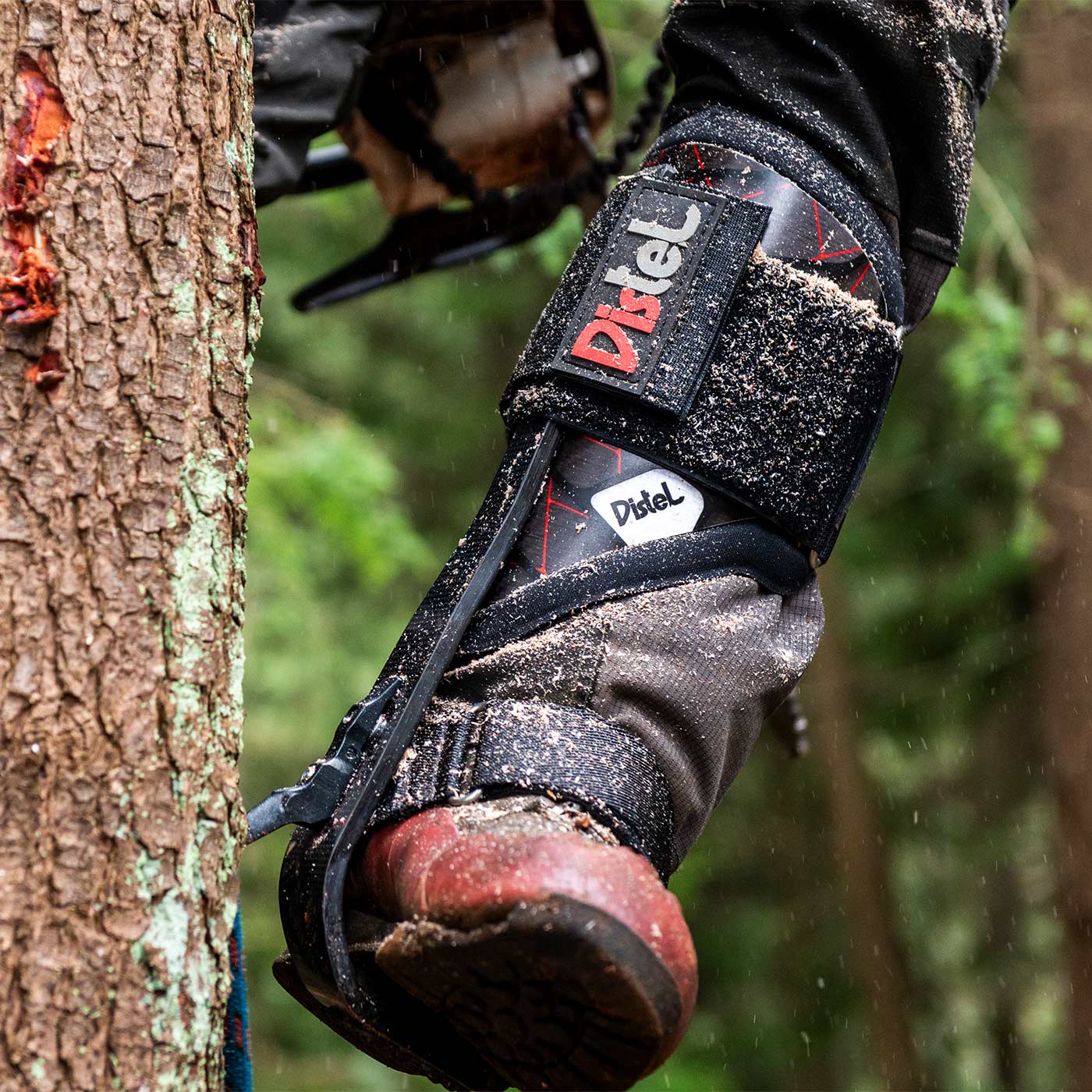 Distel Carbon 3.1 Velcro by Distel, via ferrata spur on the leg of a wearer touching a tree trunk, with visible dirt on the spur and shoe