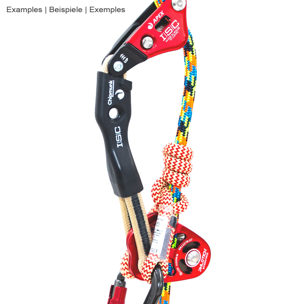 Chipmunk Flex Tether