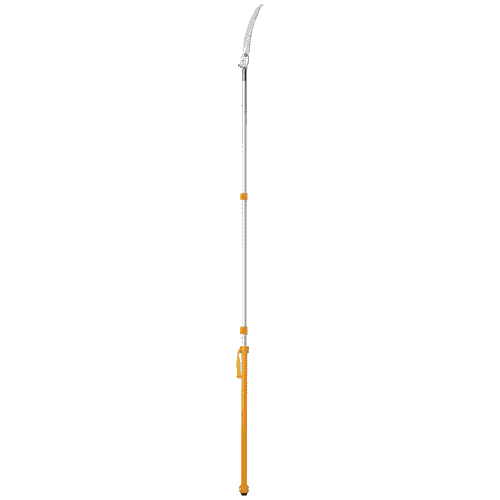 Longboy