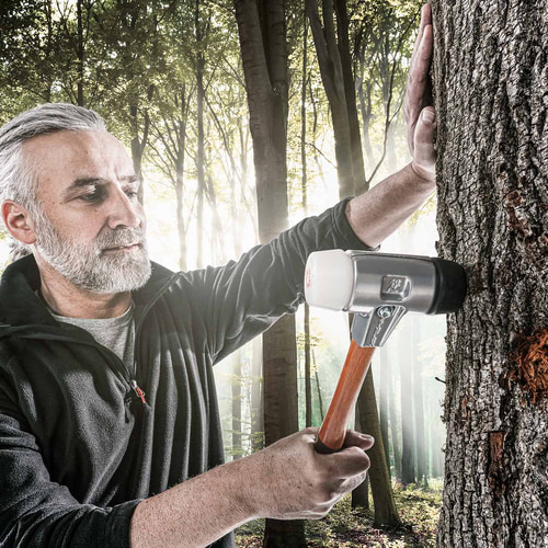 Man with gray beard and black jacket holds the Simplex Schonhammer 370 to a tree trunk in the forest