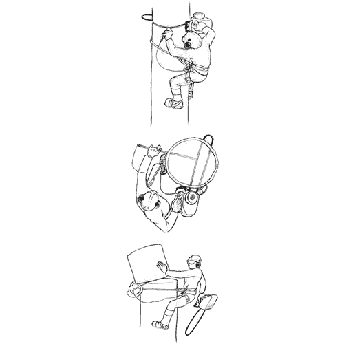 Black and white drawing with three climbers on a tree, one holding a yellow stick, another a saw and the third a roll of paper