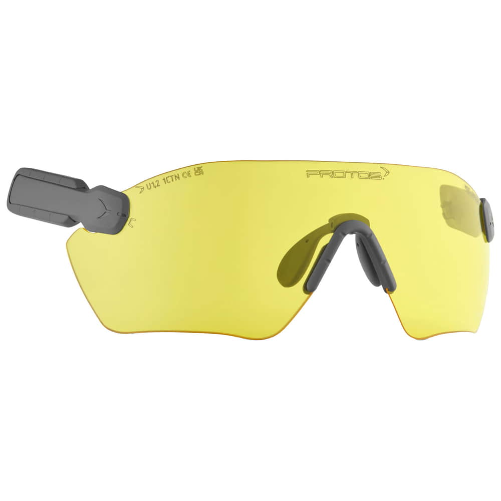 PROTOS® Protective Goggles E