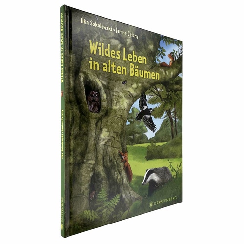 Wild life in old trees