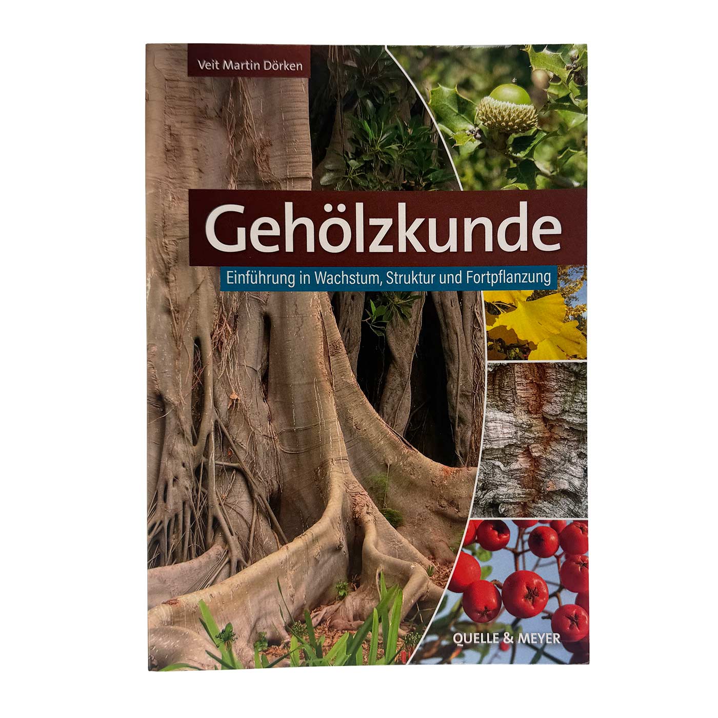 Dendrology