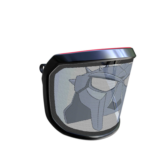 PROTOS® Visor Fine F39