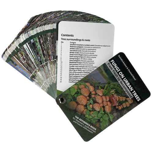 Fungi on Urban Trees, a set of cards with mushroom illustrations and descriptions, features brown mushrooms on the forest floor with green foliage on the front, the title is in white lettering on a black background, authors Daniela Antoni & Chantal Tinni,