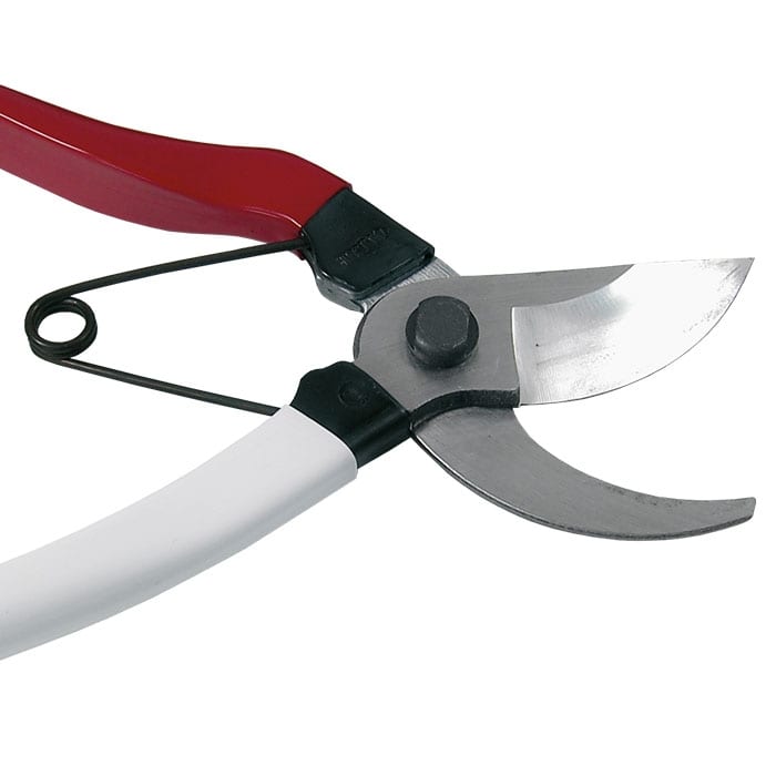Okatsune 20 Pruning Shears with Red and White Handle and Silver Blade by Okatsune, Close-up of the Blade