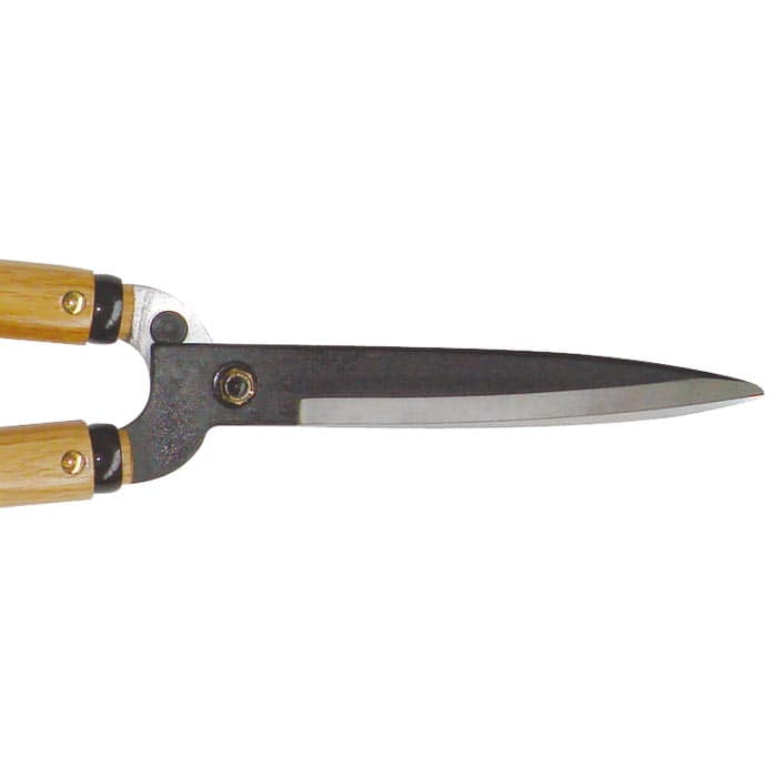 Close-up of the sharp blades and joint of the Okatsune hedge trimmer 54 with wooden handles