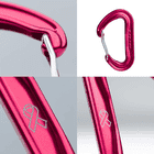 Wisp Pink