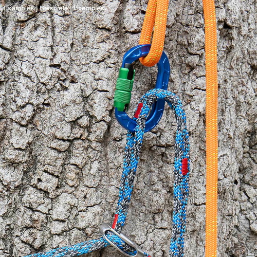 karaT carabiner in blue with green screw cap, attached to a tree with orange and blue climbing line