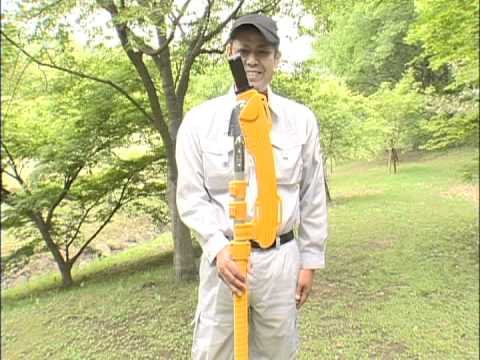 Longboy