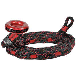 vsa_snakeanchor_2_f1f2.jpg