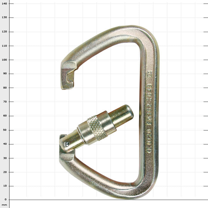 Wizard Screwlock metal carabiner with screw lock, silver-coloured
