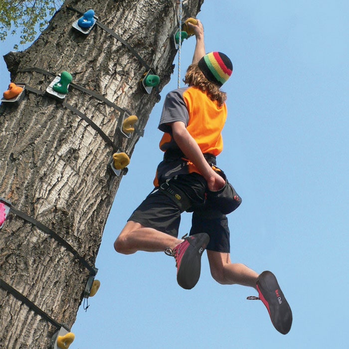 Tree-Monkey Set Basic