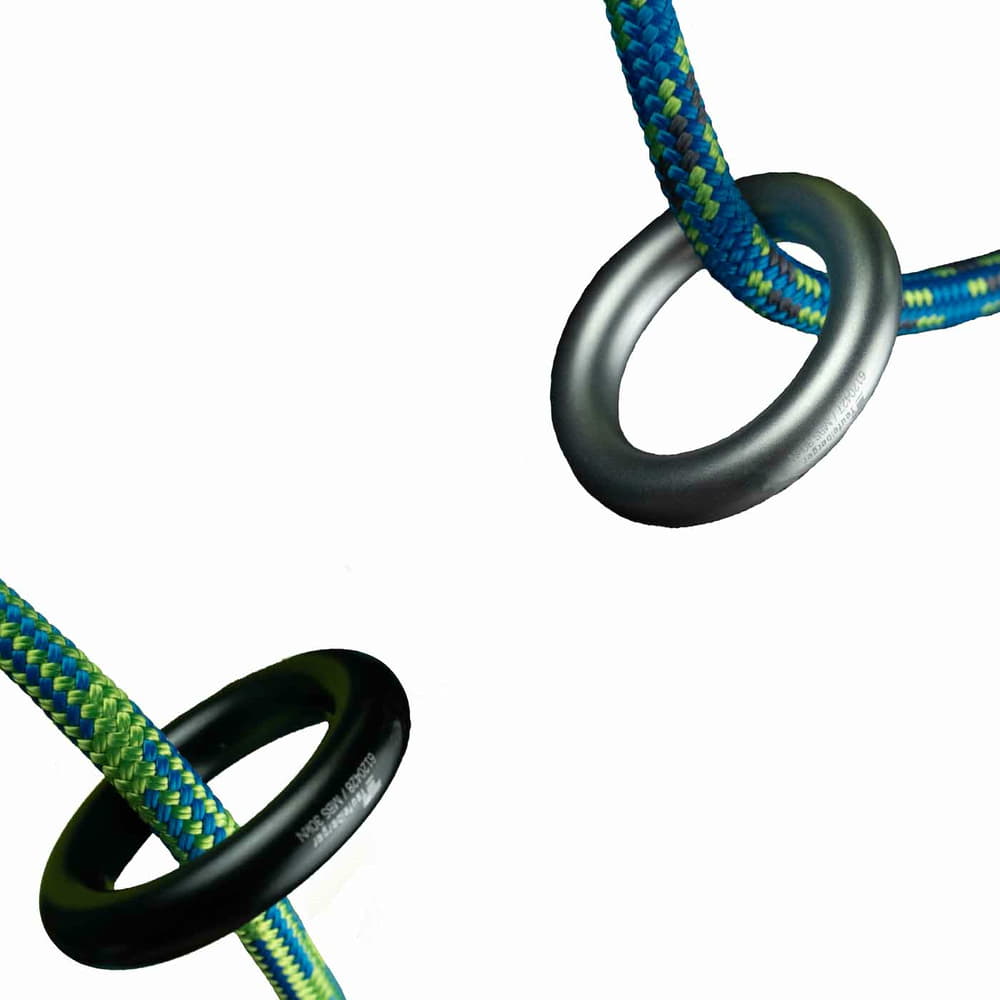 treeMOTION Pro Limited Edition