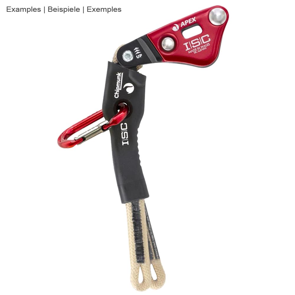 Chipmunk Flex Tether