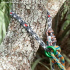 canopyANCHOR ring with black, white and red rope, green ring, attached to a tree trunk with colorful rope