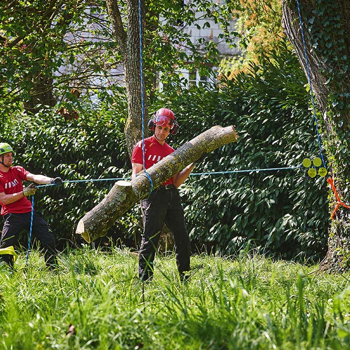 Two people in red work clothes and hard hats carry a large tree trunk, in the background the Hulk product with ropes can be seen