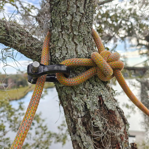 CE Quickie black shackle with silver bolt attached to a tree trunk through which an orange-green rope is passed, outdoors with blurred background