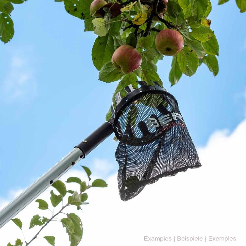 ArboRapid fruit picker with long handle, black mesh bag and metal crown, branches with red apples and blue sky in the background