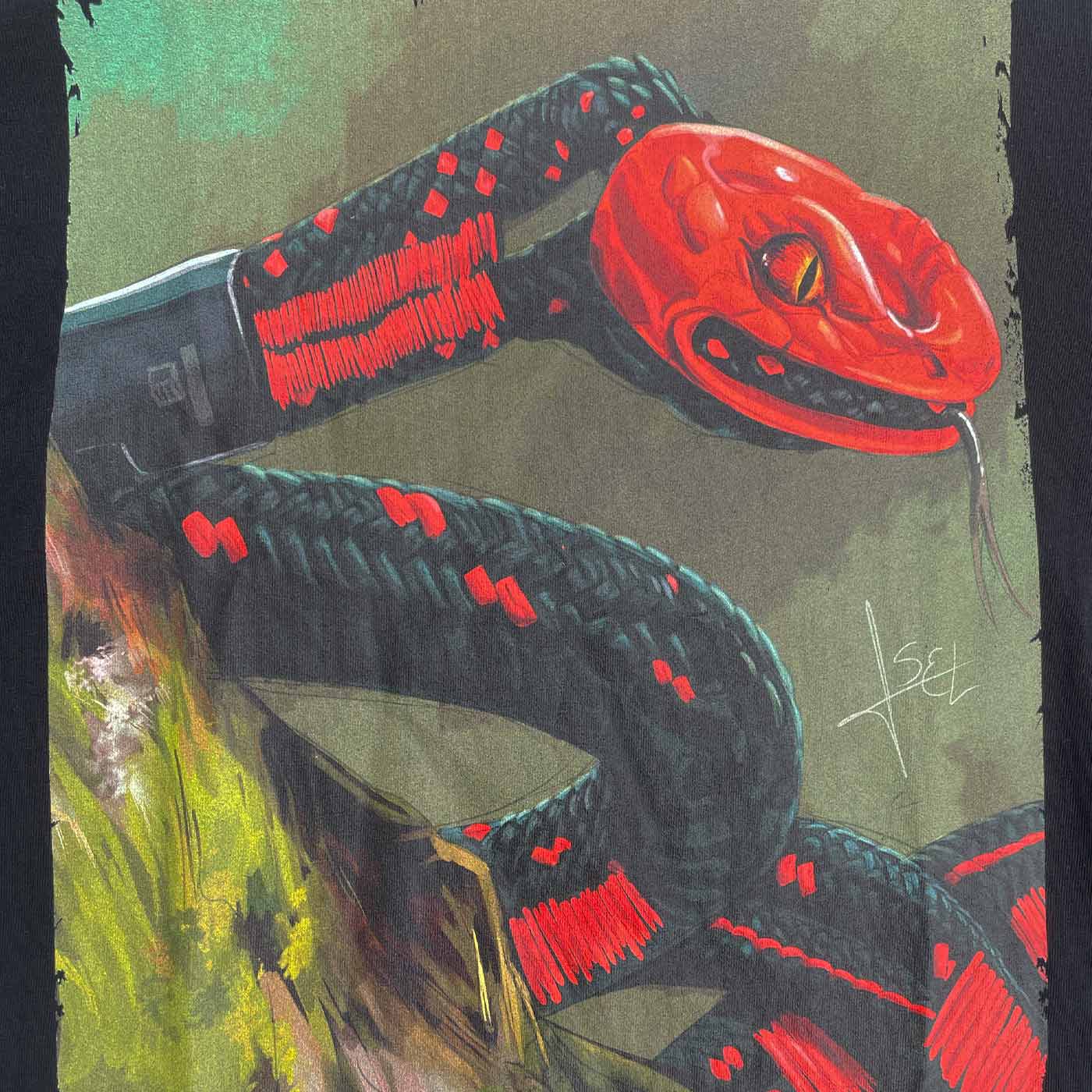 Close-up of colored snake design on black ART snake shirt with red and black details and a green background area