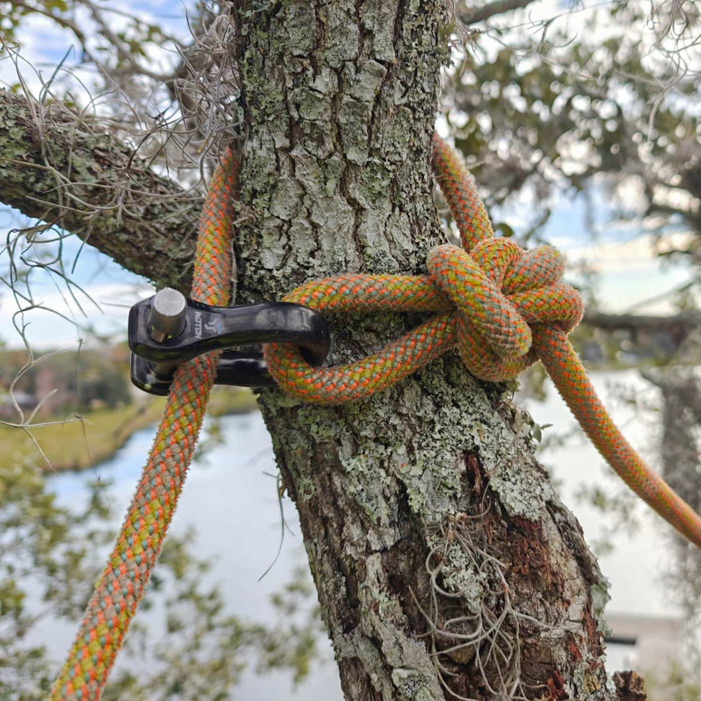 CE Quickie black shackle with silver bolt attached to a tree trunk through which an orange-green rope is passed, outdoors with blurred background