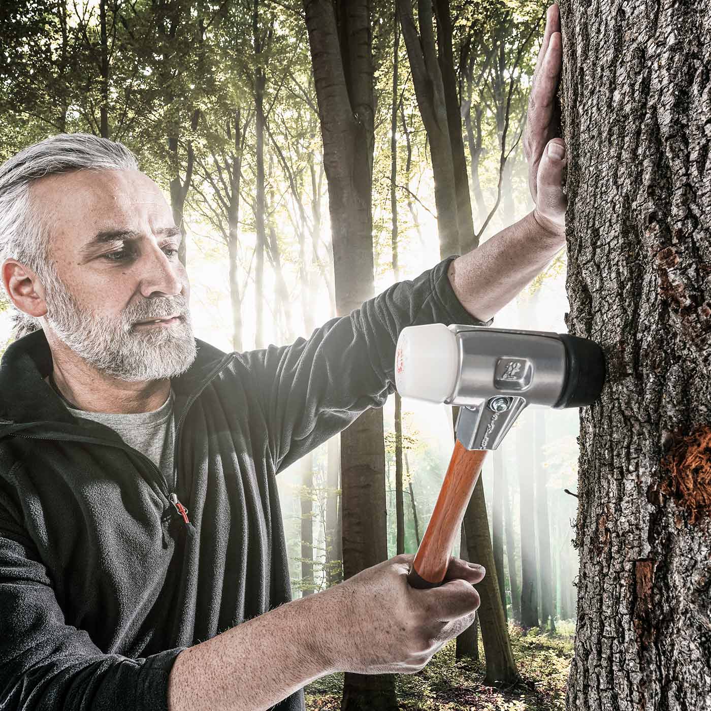 Man with gray beard and black jacket holds the Simplex Schonhammer 370 to a tree trunk in the forest
