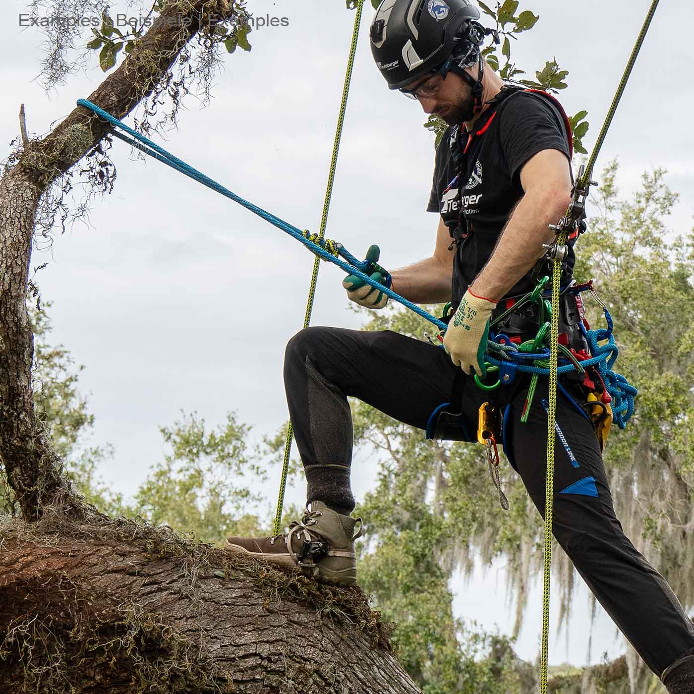 Man in helmet and gloves climbing tree, wearing black t-shirt with inscription, using blue rope hipSTAR Glide 11.5