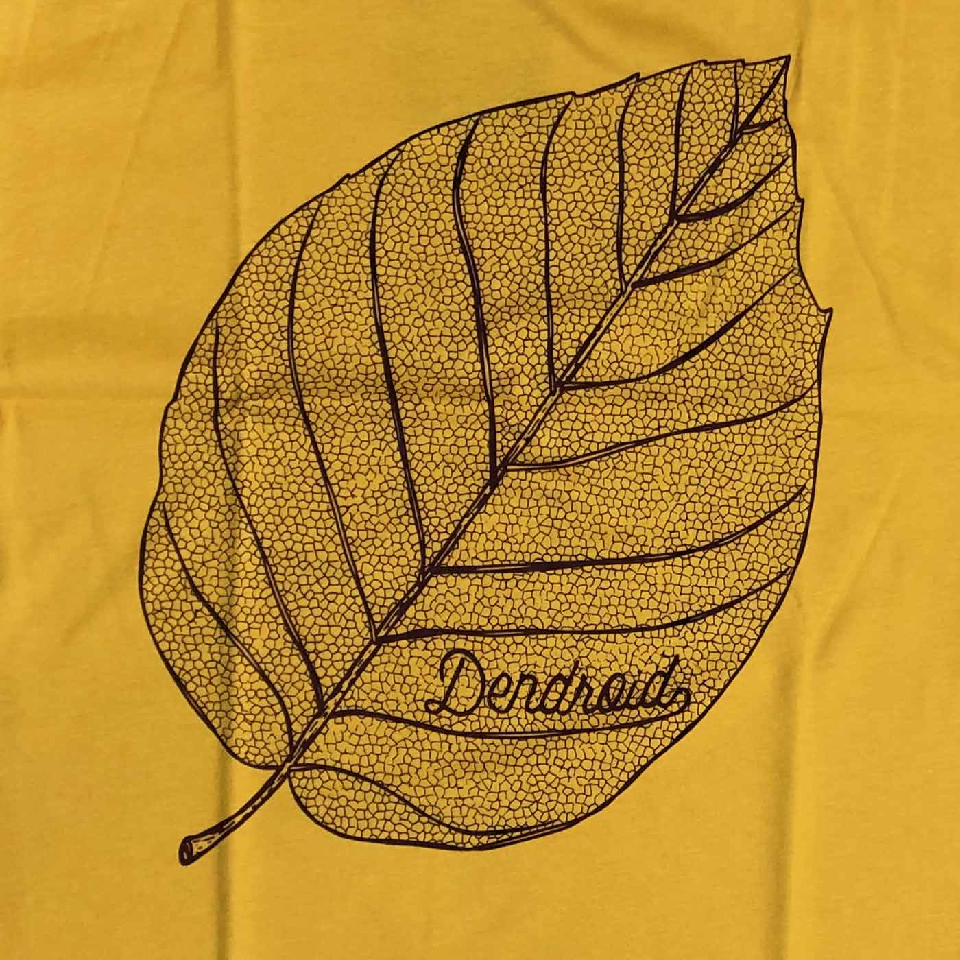 Skeleton Leaf