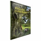 Wild life in old trees
