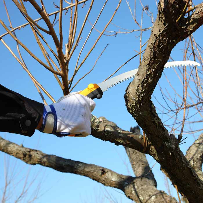 Person with white glove holding Tsurugi Curve 270-10 hand saw with yellow handle and sawing on a branch of a tree against blue sky