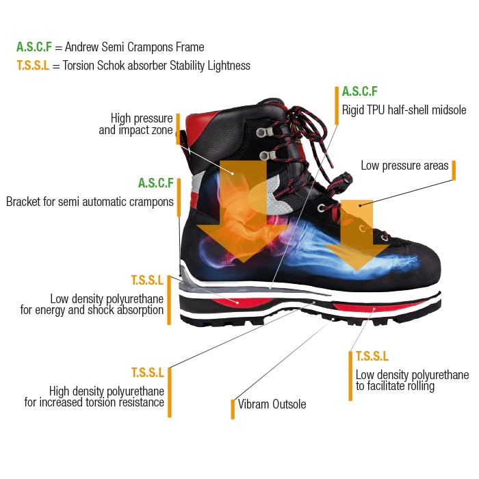Illustration of the Cervino Wood EZloop mountain boot by Andrew with inscriptions on materials and technical details such as A.S.C.F and T.S.S.L in different colors on a white background