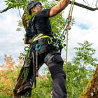 TreeRaptor