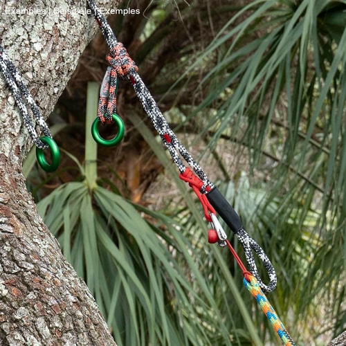 Climbing equipment with ropes, carabiners and green metal rings on a tree, product name not visible