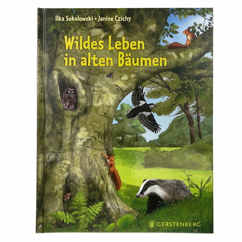Wild life in old trees