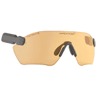PROTOS® Protective Goggles E