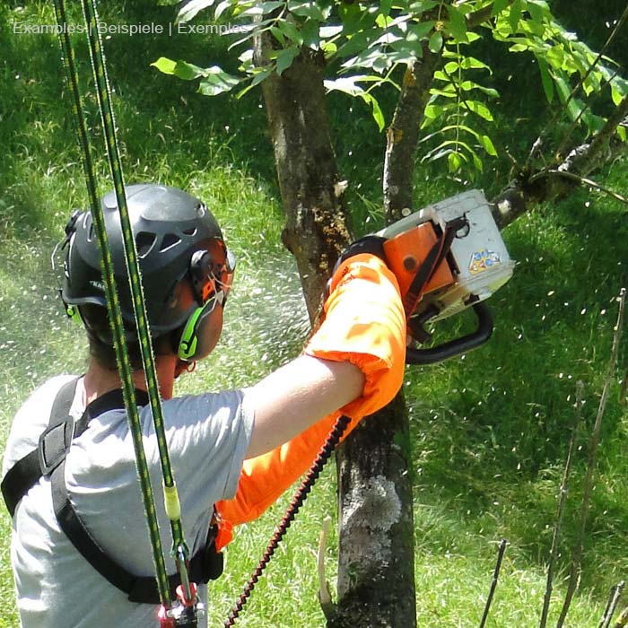 Person with helmet and protective clothing uses chainsaw on tree, antiSHOCK Tool Lanyard Plus from Teufelberger is attached to arm