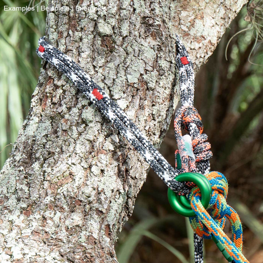 canopyANCHOR ring with black, white and red rope, green ring, attached to a tree trunk with colorful rope