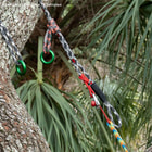 Climbing equipment with ropes, carabiners and green metal rings on a tree, product name not visible