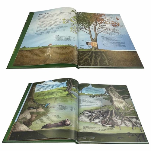 Wild life in old trees