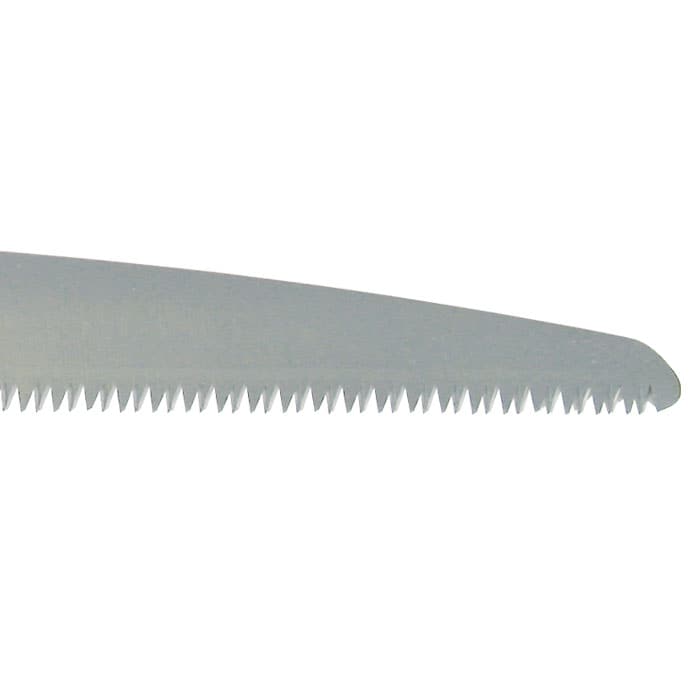 Gomtaro Root 240-8 saw blade, gray metal with fine teeth on the edge