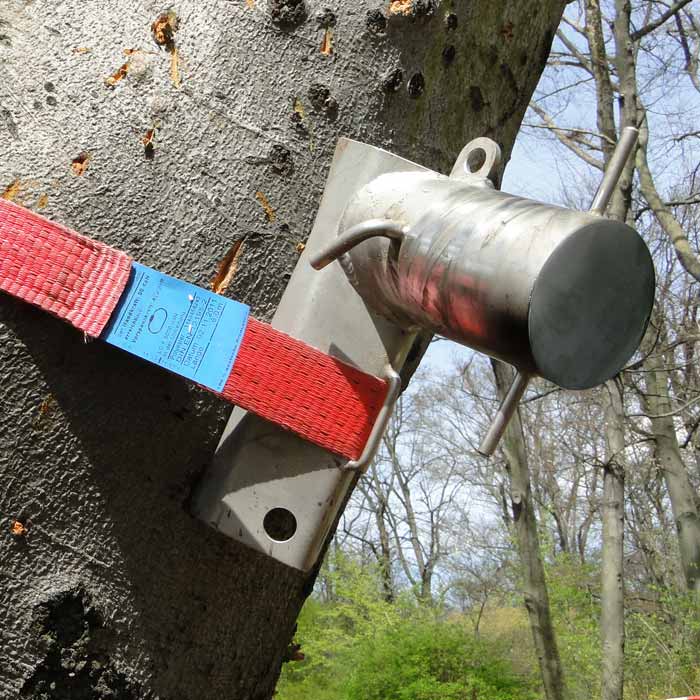 MiniBollard, bollard, gray metal device attached to a tree with red belt and blue label