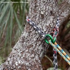 ringLOOP 26, an orange-black rope with a green metal ring, placed around a tree trunk, other ropes are guided through the ring