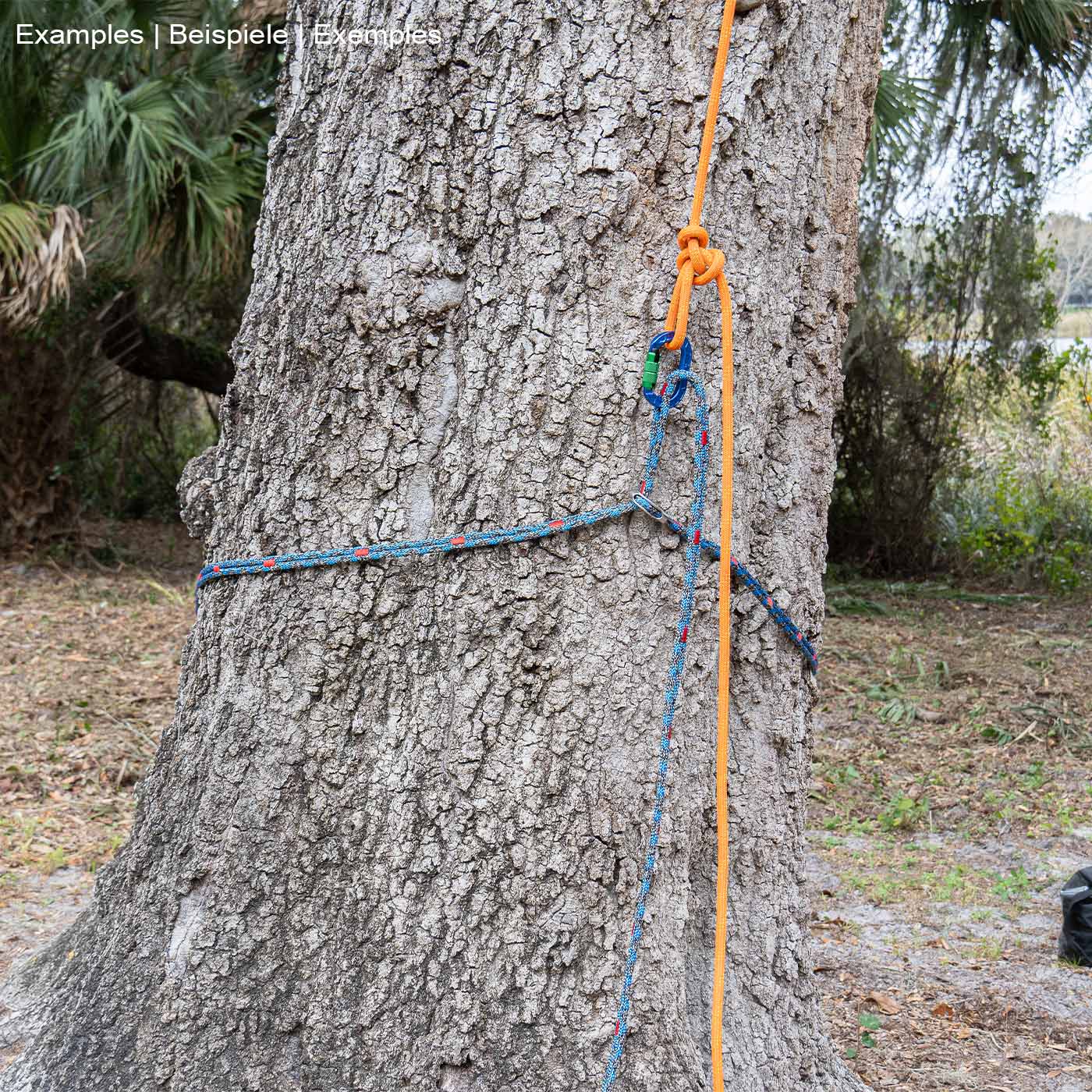 chainANCHOR blue-black rope with red markings and metal eyelet, wrapped around a tree attached with orange rope and snap hook