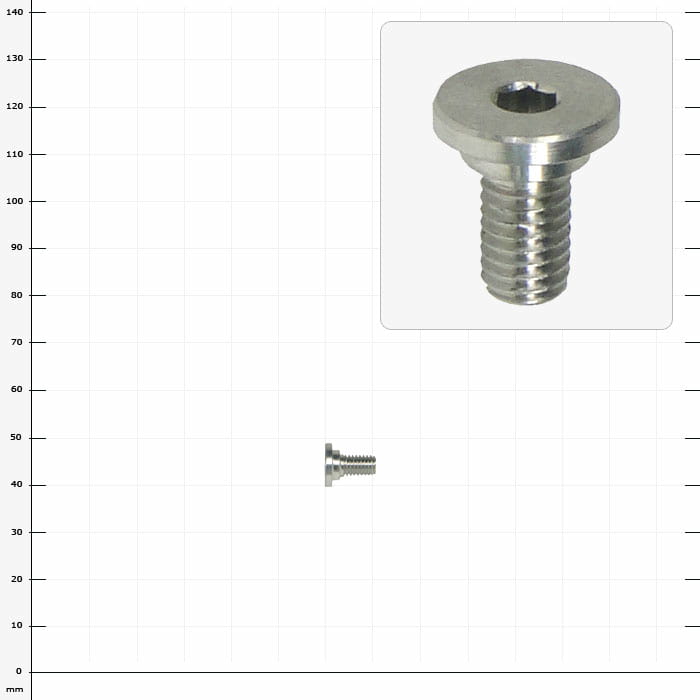 SpiderJack 2.1 Mounting Screw for Flange, Silver Metal Screw with Hexagon Socket and Flange Head