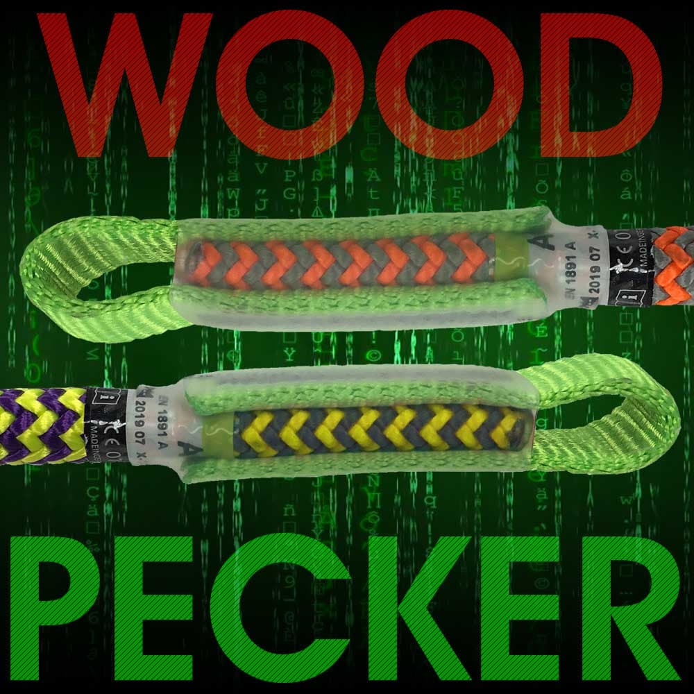 Woodpecker